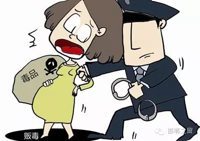 2016年初，涉縣警方查獲一起涉毒案件，鑒于該案涉案人員多、毒品交易量大，涉縣警方立即將案情上報(bào)，被公安部確立為“目標(biāo)-2016-314”號(hào)毒品案件。涉縣警方成立專(zhuān)案組，經(jīng)過(guò)多方追查，先后抓獲團(tuán)伙人員13名，繳獲毒品5349克，并查明上線“濮姐”的真實(shí)身份為陳某。